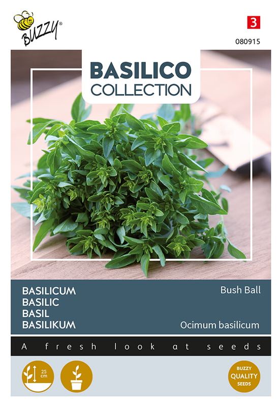 Buzzy® Basilic Greek Basil Bush Ball, very fine leaved