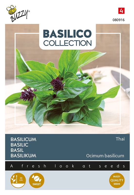 Buzzy® Basilicum Siam of Thai