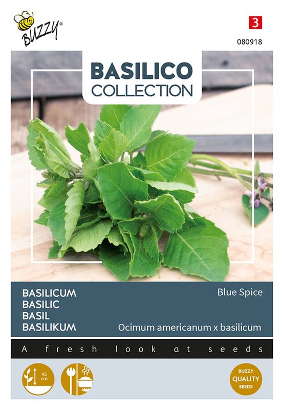 Buzzy® Basilic Blue Spice