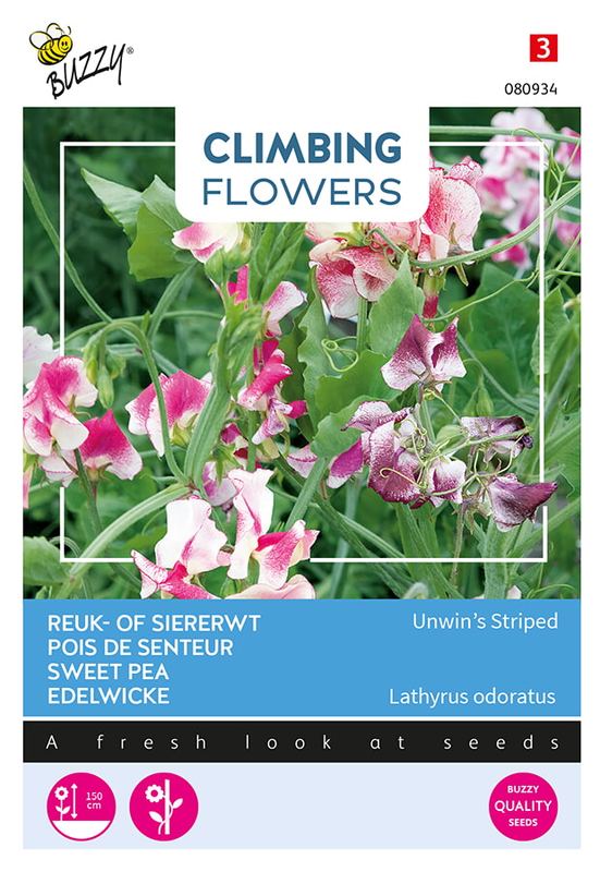Buzzy® Flowering Climbers Lathyrus Unwin's Striped