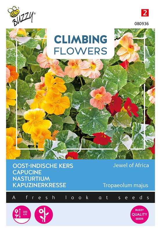 Buzzy® Flowering Climbers Tropaeolum Jewel of Africa