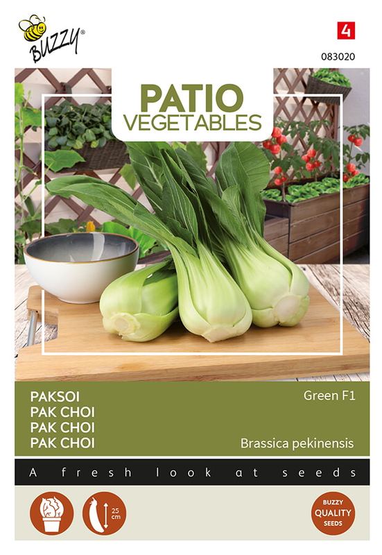 Buzzy® Patio Veggies, Pak Choi Green