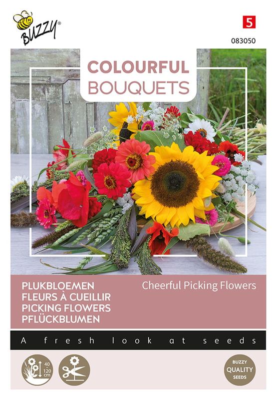 Colorful Bouquets, Cheerful Picking Flowers
