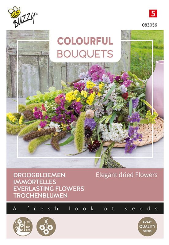 Colorful Bouquets, Elegant dried flowers (droogbloem 2)