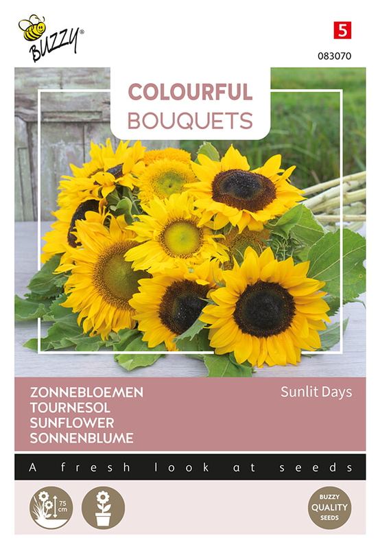 Colorful Bouquets, Sunlit Days (Zonnebloemen halfhoog)