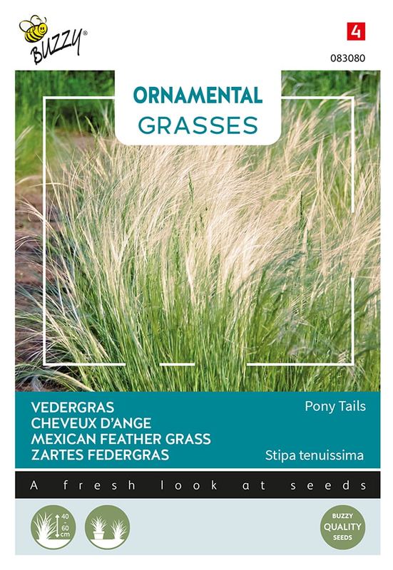 Buzzy® Ornamental Grasses, Stipa tenuissima 'Pony Tails'