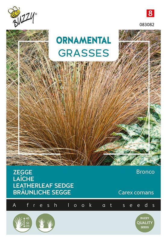 Buzzy® Ornamental Grasses, Carex comans 'Bronco'