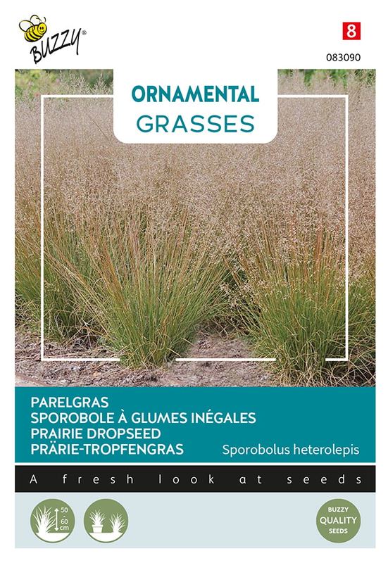 Buzzy® Ornamental Grasses, Sporobolus heterolepis