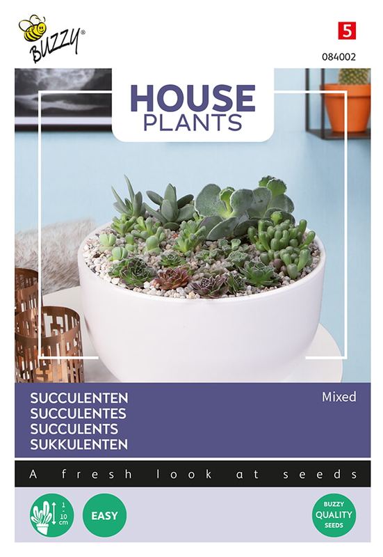 Buzzy® House Plants Mixed Succulents, Vetplanten