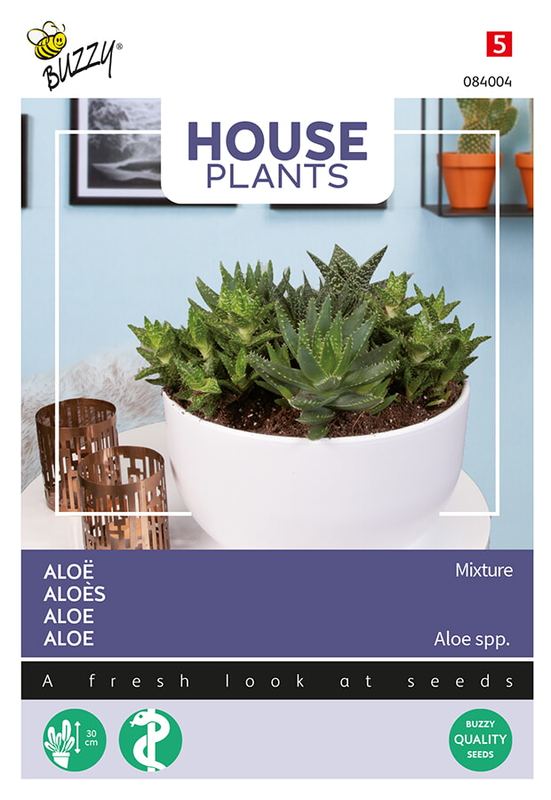 Buzzy® House Plants Aloe gemengde soorten