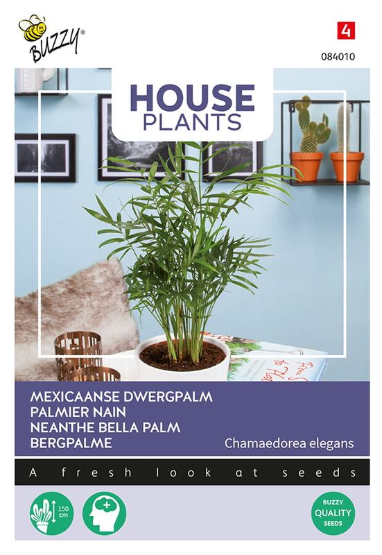 Buzzy® House Plants Chamaedorea, minipalm