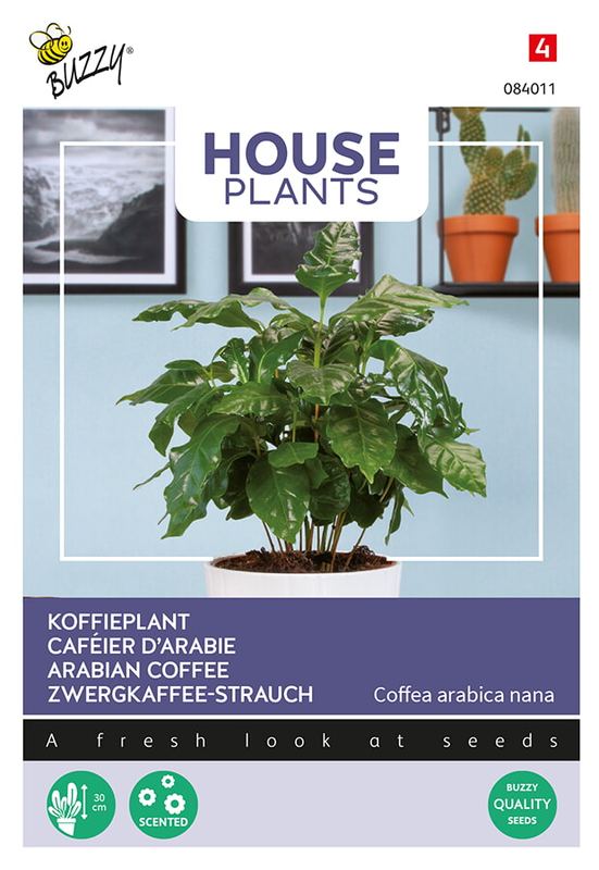 Buzzy® House Plants Coffea Arabica, koffieplant