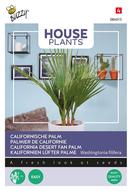 Buzzy® House Plants Californische palm