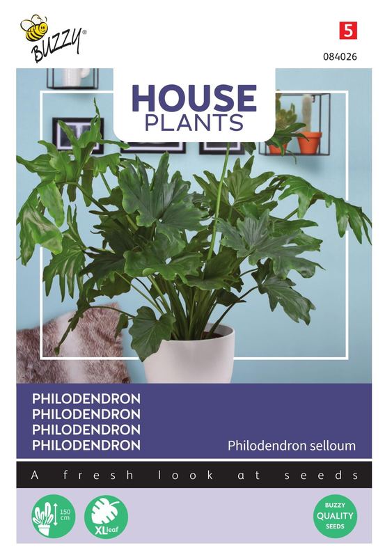 Buzzy® House Plants Philodendron selluom