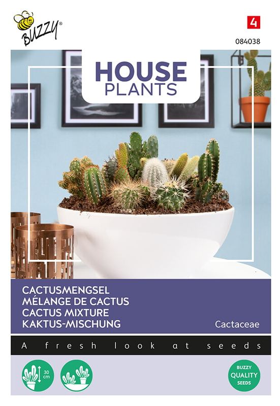 Buzzy® House Plants Cactus Mengsel