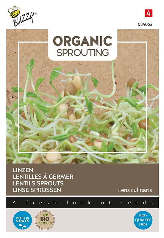 Buzzy® Organic Sprouting Linzen (BIO)