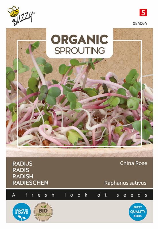 Buzzy® Organic Sprouting Radis China Rose (BIO)