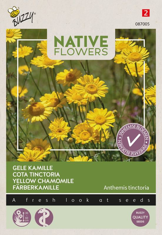 Buzzy® Native Flowers Indigène Anthemis tinctoria, Gele Kamille