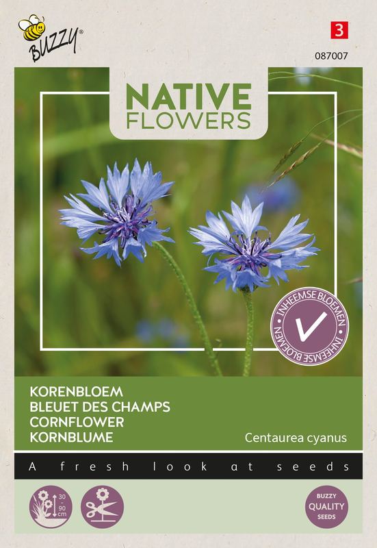Buzzy® Native Flowers Indigène Centaurea cyanus, Korenbloem