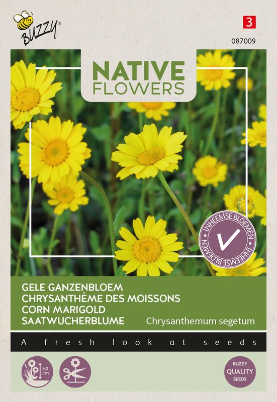 Buzzy® Native Flowers Inheems Chrysanthemum segetum, Gele Ganzenbloem