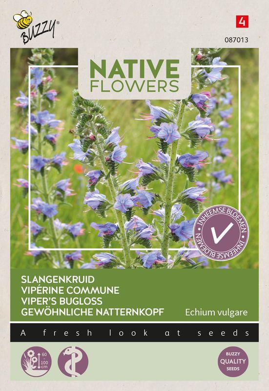 Buzzy® Native Flowers Inheems Echium vulgare, Slangenkruid