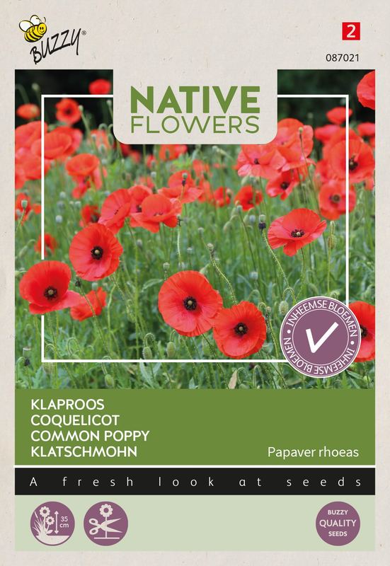 Buzzy® Native Flowers Indigène Papaver rhoeas, klaproos