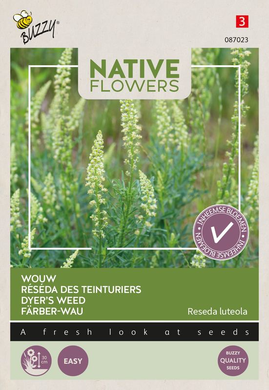 Buzzy® Native Flowers Indigène Reseda luteola, Wouw