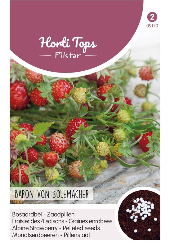 HT Pilstar Aardbeien Baron von Solemacher